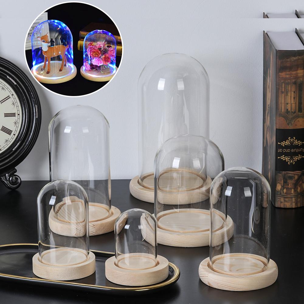 Luzes de Fada para Decoração d - Reusable Bottle avaliação e preço